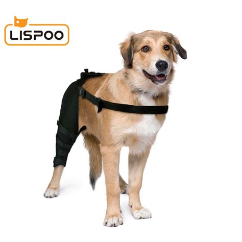 Best Dog Knee Support Brace For Sale Lovepluspet