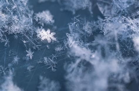 Premium Photo A Close Up Of Snowflakes On A Blue Surface