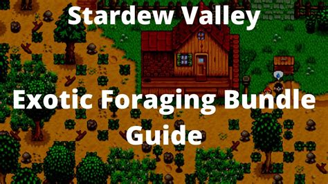 Stardew Valley Exotic Foraging Bundle Guide Youtube