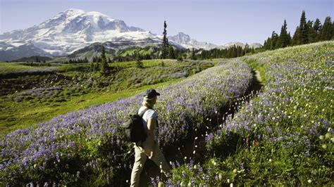 A guide to National Parks in Washington and Oregon | Advnture