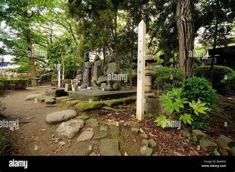 Path To The Cemetery Of Zojoji Temple Shiba Area Minato Ku District