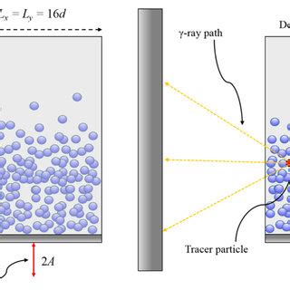 Schematic Diagrams Not To Scale Illustrating A Quasi D Columnar