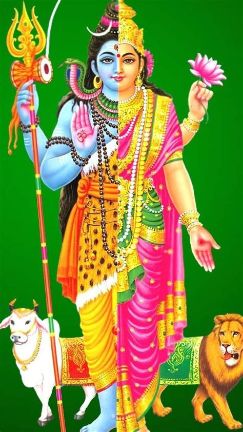 Top 999 Shiva Parvati Images Hd Amazing Collection Shiva Parvati