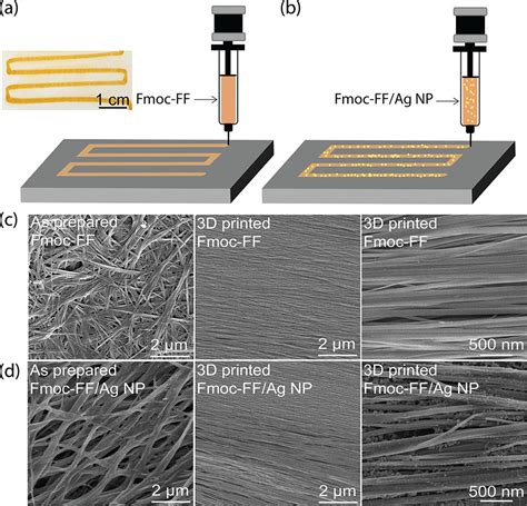 Journal Article 3D Printed Peptide Hydrogel Nanoparticle Composites