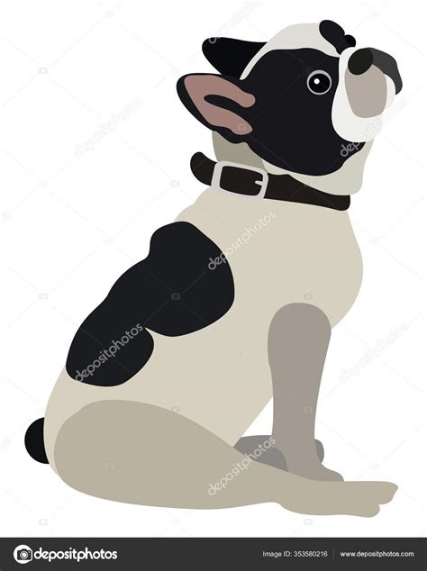 Cute Dog Sitting Illustration Vector White Background Stock Vector ...