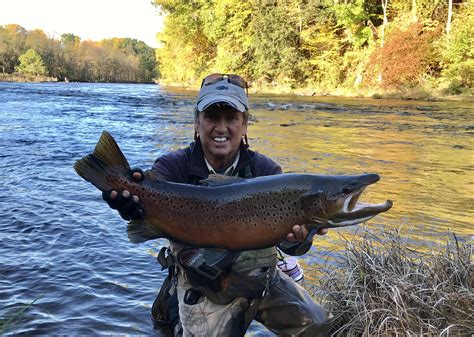 Monster Brown Trout