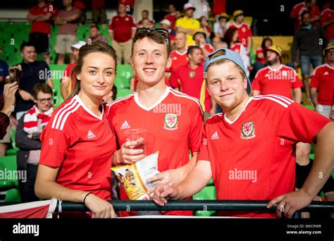 Welsh Football Fans Stock Photo Alamy