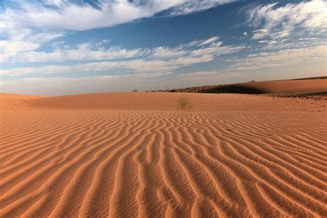 Thar Desert, Jaisalmer Photograph by Milind Torney