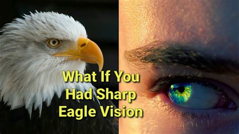 What If You Had Sharp Eagle Vision In Hindi Flywithscience Youtube