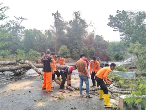 Hujan Deras Dan Angin Kencang Melanda Way Kanan Tiang Pln Roboh Hingga