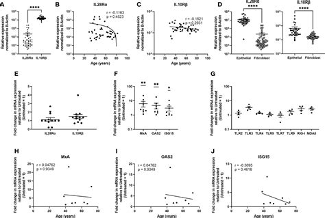 Frontiers Sex Hormones And Aging Modulate Interferon Lambda 1 Production And Signaling By