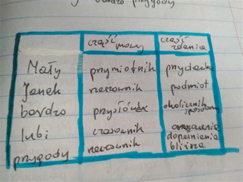 Wykonaj Wykres Nazwij Cz Ci Mowy I Cz Ci Zdania Bia Y Dom L Ni