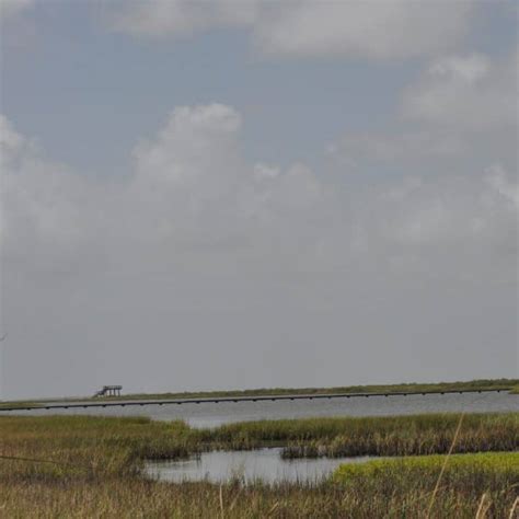 Galveston Island State Park... Beach, Nature Center, Trails, Fishing ...