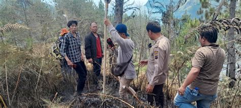 Kondisi Terkini Kebakaran Hutan Di Perbukitan Simangulampe Danau Toba