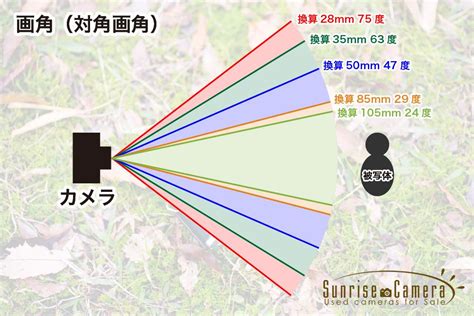 【撮影基礎講座9】レンズの焦点距離と画角とは？ 標準・広角・望遠の違い サンライズフォト｜中古フィルムカメラとオールドレンズのサンライズ