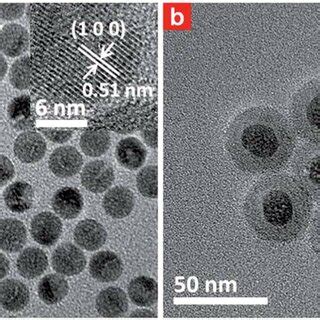 TEM Images Of A NaYF 4 Yb Tm Nanoparticles UCNPs And B NaYF 4