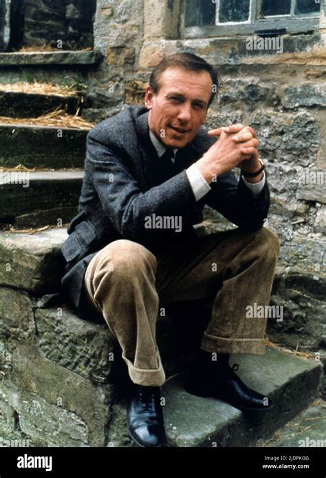 CHRISTOPHER TIMOTHY, ALL CREATURES GREAT AND SMALL, 1985 Stock Photo - Alamy