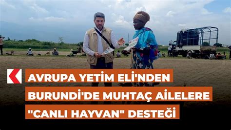 Avrupa Yetim Eli nden Burundi de muhtaç ailelere canlı hayvan desteği