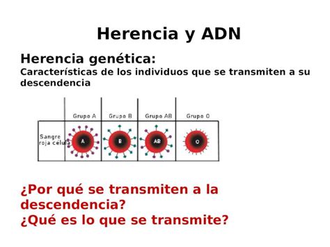 PPT Herencia genética Características de los individuos que se