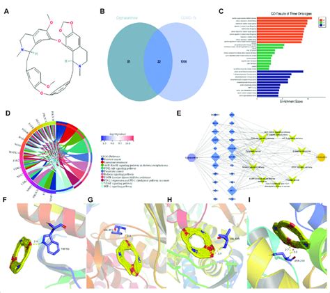 Potential Molecular Mechanism Of Cep In The Treatment Of Covid 19 A