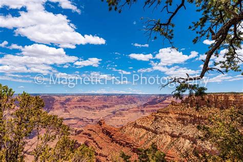 Grand Canyon I