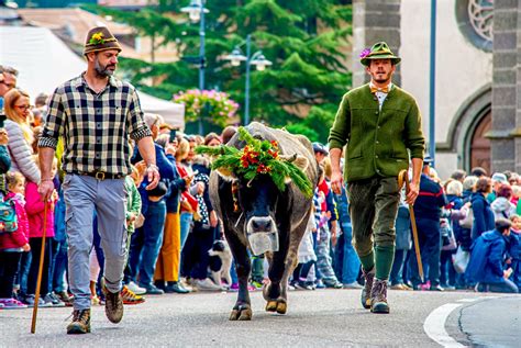 A Predazzo Il Festival Del Gusto E La Desmontegada De Le Vache E Borghi