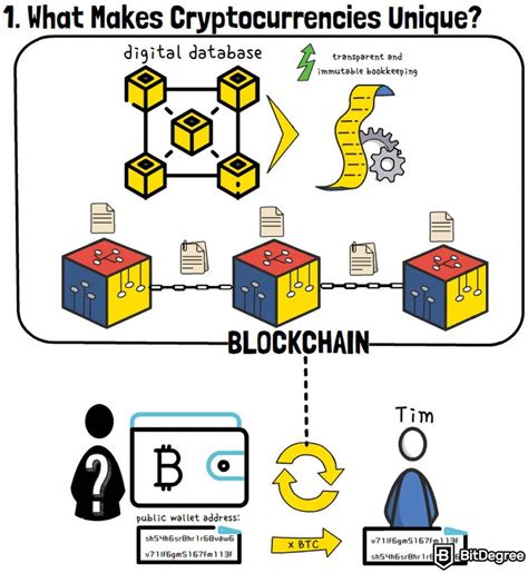 How Does Cryptocurrency Work A Thorough Explanation