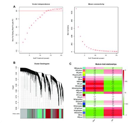 Wgcna Analysis A Identification Of Optimal Soft Threshold Power For