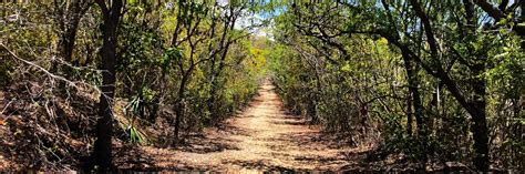 Hiking Guánica Dry Forest - Bosque Seco de Guánica | Discovering Puerto ...