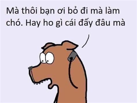 Mà Thôi Bạn ơi Bỏ đi Mà Làm Chó Nhà Trong Ngõ Meme