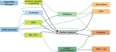 Simplified Depiction Of The Biomass Usage Options In The Model Energy