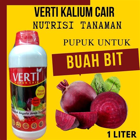 Jual Pupuk Untuk Buah Bit Agar Berbuah Banyak Pupuk Verti Kalium