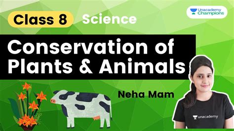 Conservation Of Plants And Animals Class 8 Science Sprint Class 8