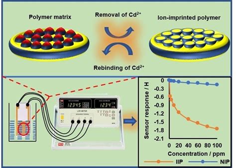 An Ionimprinted Polymerreceptorbased Electrochemical Sensor For The