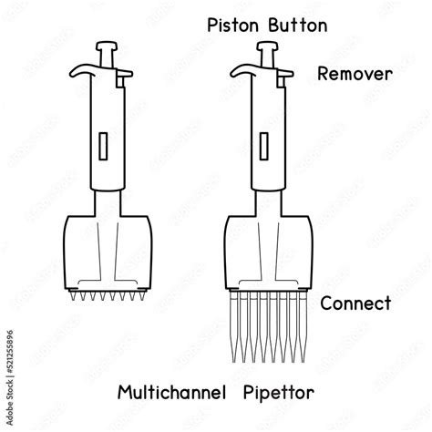 Laboratory Micropipette Set Adjustable Transfer Pipettes Controller