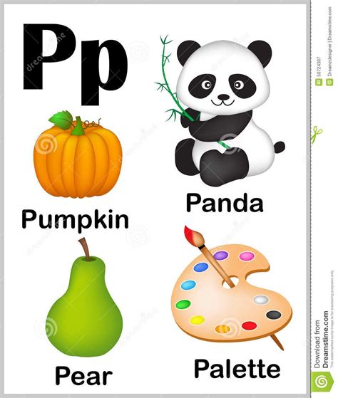 the letter p is for panda, pear, pumpkin and paintbrush stock photo - image