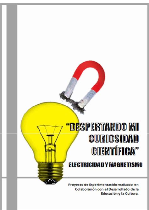 PDF Electricidad Y Magnetismo Teoria DOKUMEN TIPS