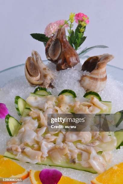 22 Conch Meat Stock Photos High Res Pictures And Images Getty Images