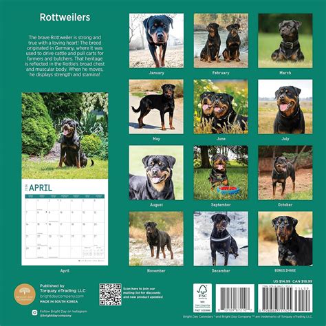 Bright Day Calendario Mensual De Pared Rottweilers X