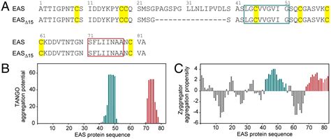 Self Assembly Of Functional Amphipathic Amyloid Monolayers By The Fungal Hydrophobin Eas Pnas