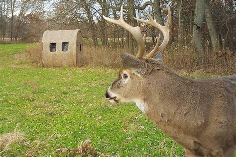 Build DIY Deer Blind In 9 Easy Steps | BestHuntingAdvice