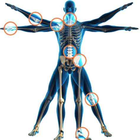 Human Body Png Transparent Images Pictures Photos Png Arts