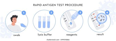 Covid19 Rapid Antigen Test Procedure Infographic Stock Vector (Royalty ...