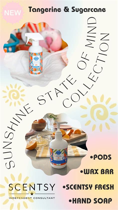 New Scentsy Bars Sunshine State Of Mind Collection Artofit