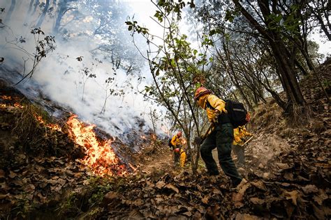 Se pronostican para Jalisco más incendios forestales este 2023 por el