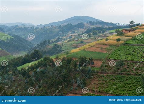 Rwanda Land Of Thousands Hills Stock Image Image Of Landscape