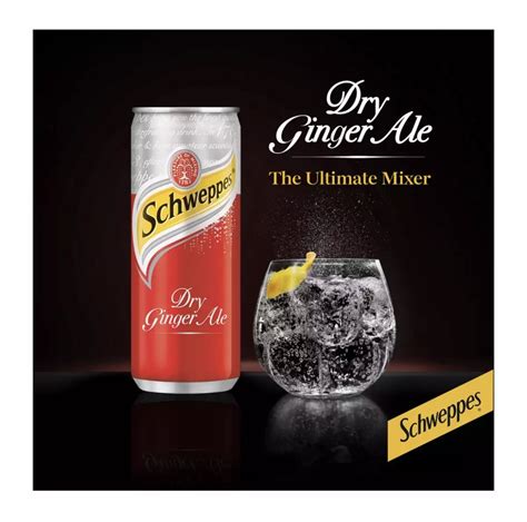 Schweppes Dry Ginger Ale Can 320ml Laguna Mart By Myra S