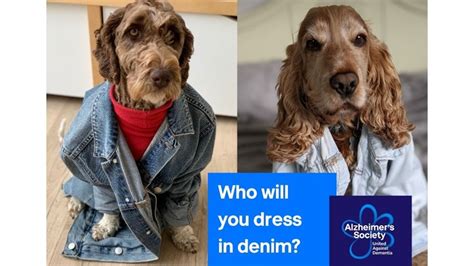 Denim For Dementia 2022 Justgiving