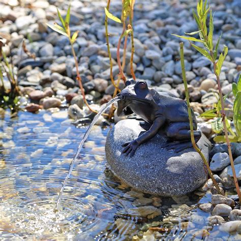 CLGarden Wasserspeier Komplettset Frosch Auf Einem Stein NSP10E Mit