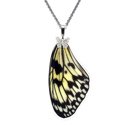 Handmade Real Butterfly Wing Necklace Idea Leuconoe Forewing